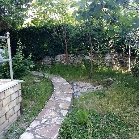 بيت ضيافة Janis